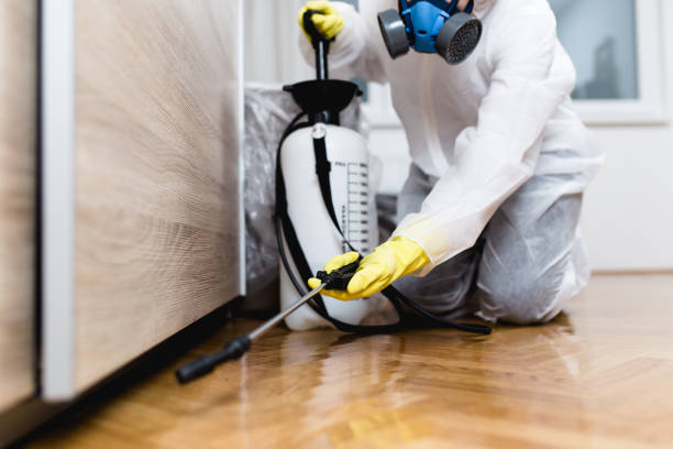 Best Pest Control Near Me  in South Tucson, AZ