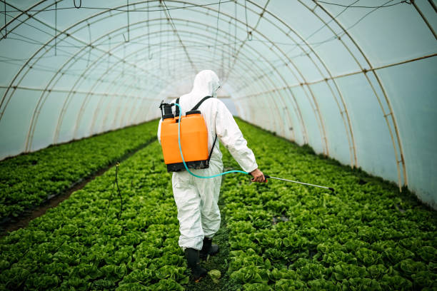 South Tucson, AZ Pest Control Company