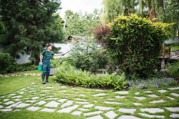 Best Mosquito Control Services  in South Tucson, AZ