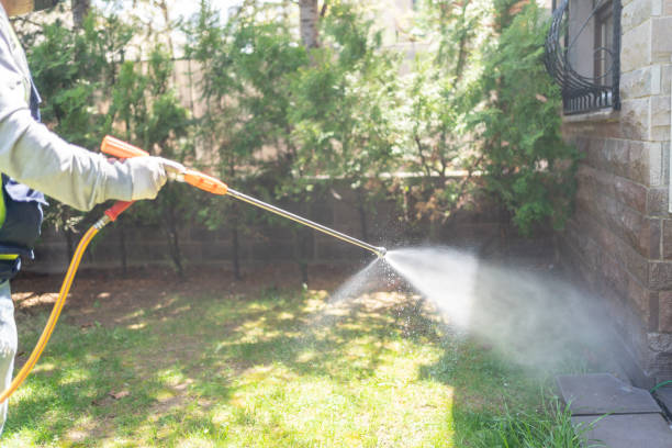 Best Best Pest Control Companies  in South Tucson, AZ
